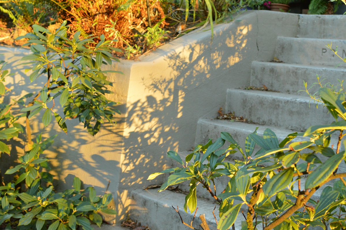 Concrete stairs beside a retaining wall with green plants